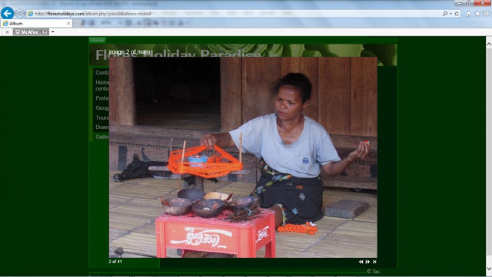 Alle sites werken op PHP, MySQL, Javascript en met een HTML template.